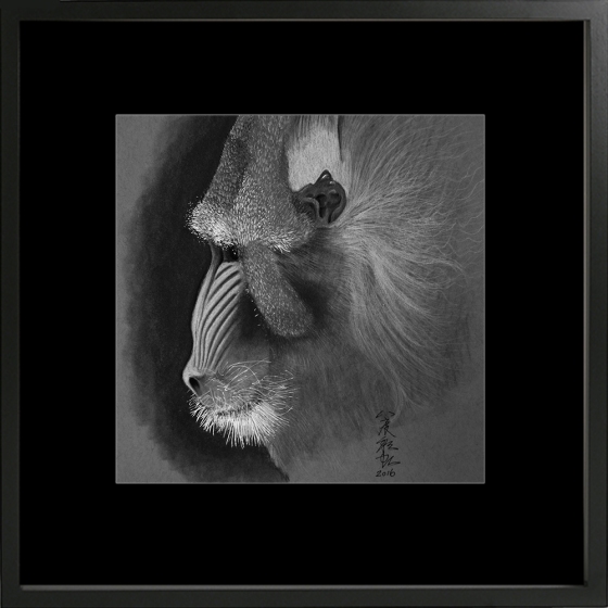 baboon framed 1000